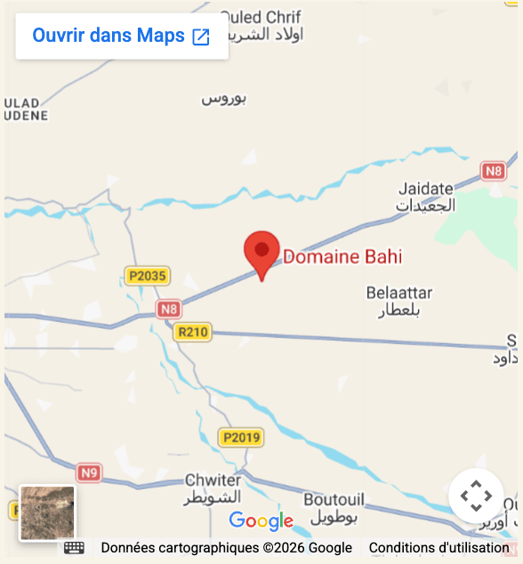 Position domaine bahi